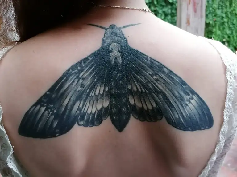 tatuaz01