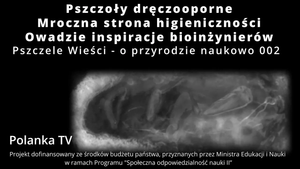 Ilustracja do filmu.