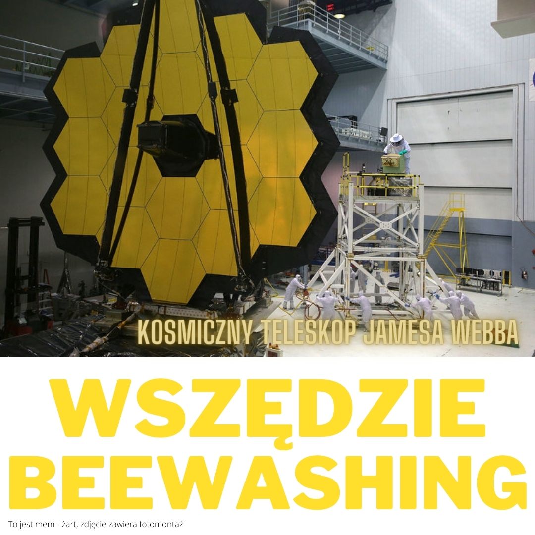 Ilustracja pokazująca miejskiego pszczelarza na rusztowaniu obok budowy teleskopu złożonego z komórek plastra pszczelego