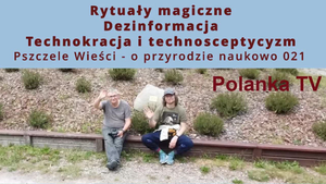 Siedzimy pod pomnikiem pszczoły na murku