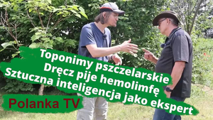Rozmawiamy gestykulując