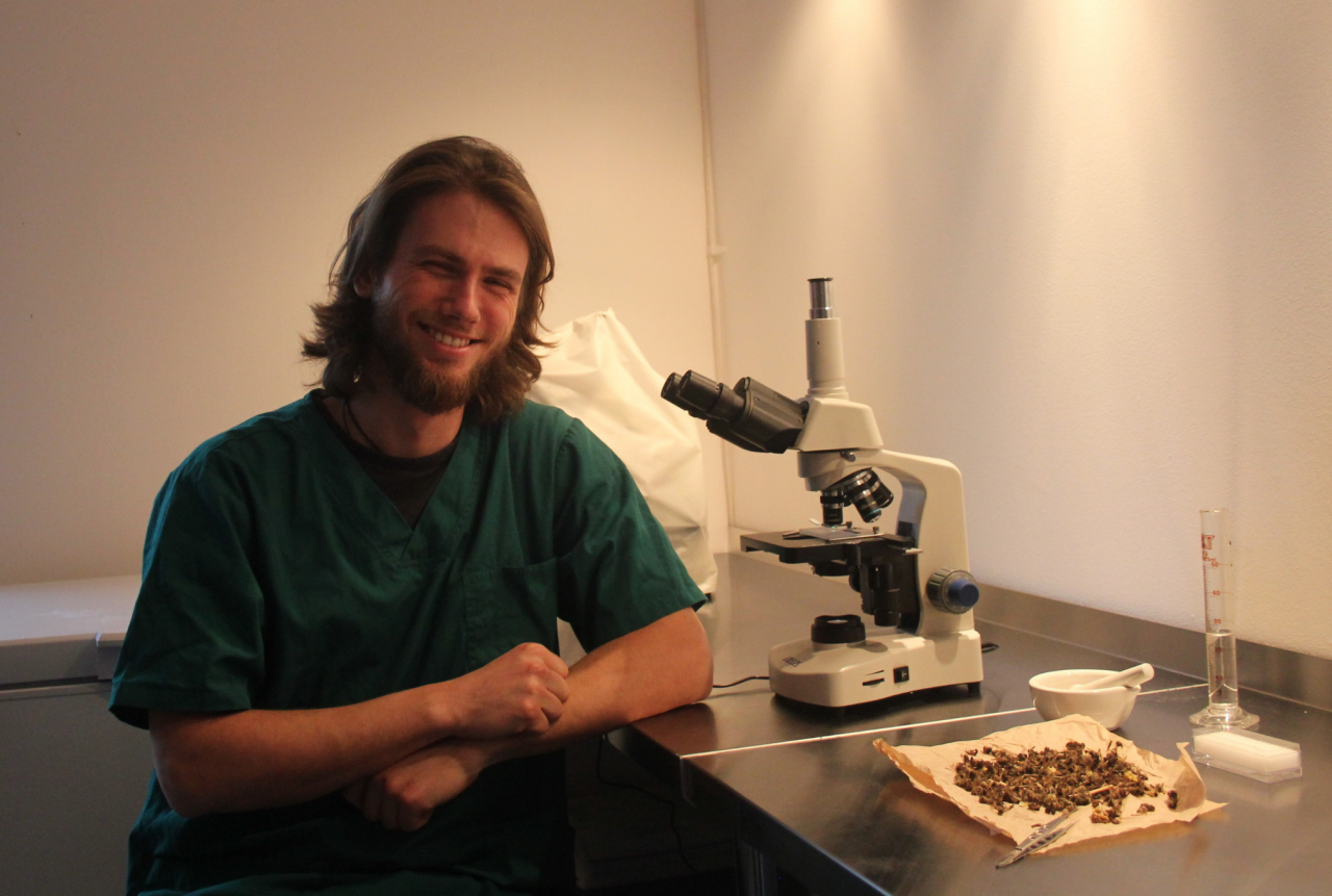 Weterynarz Bartłomiej Molasy przy swoim mikroskopie i próbce martwych pszczół