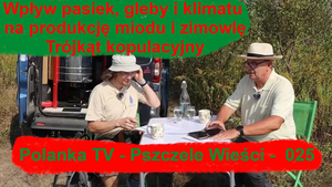 Rozmawiamy gestykulując