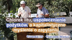 Rozmawiamy gestykulując