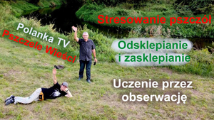 Rozmawiamy gestykulując