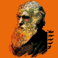 Wizerunek mocno zgrafizowanego Darwina, które głowa i broda zintegrowana jest z plastrem z pszczołami