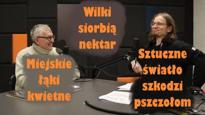 Ilustracja do filmu. Siedzimy w studio i śmiejemy się.