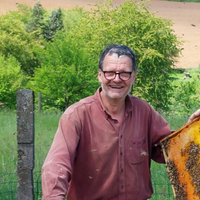 Ralph Büchler trzyma ramkę pszczelą na pasiece