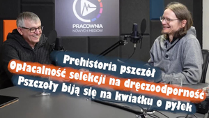 Ilustracja do filmu. Siedzimy w studio i śmiejemy się.