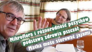 Ilustracja do filmu. Siedzimy w studio i śmiejemy się.