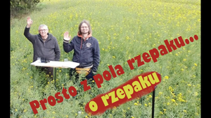 Dwójka prowadzących program macha rękami stojąc w środku pola rzepaku.